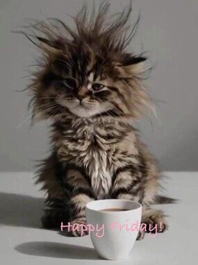 🎉🕺🏻GREAT DEAL!!!🎉💃 EXTRA SAVINGS ON DISCOUNTED SHIPPING